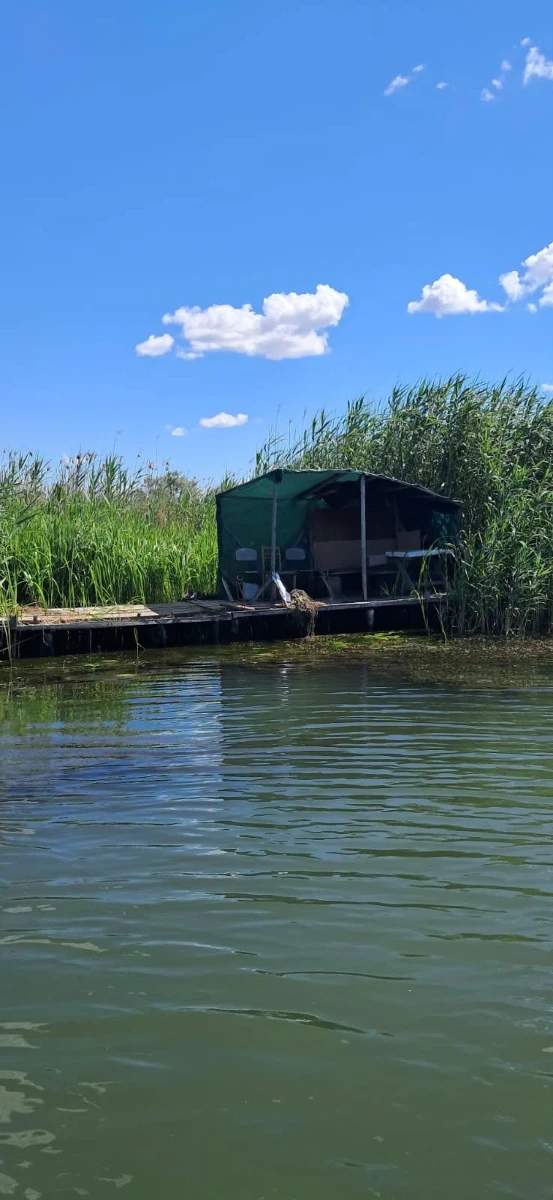 Береги Дністра звільняють від незаконних кунгів та альтанок
