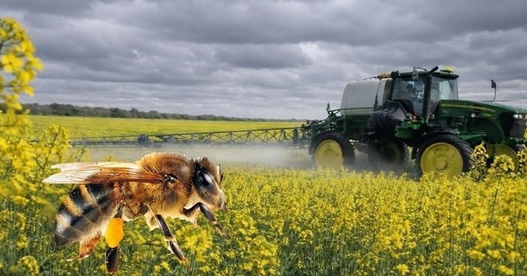 Біляївська міська рада розробила інструкцію для агровиробників: як обробляти поля, щоб не шкодити