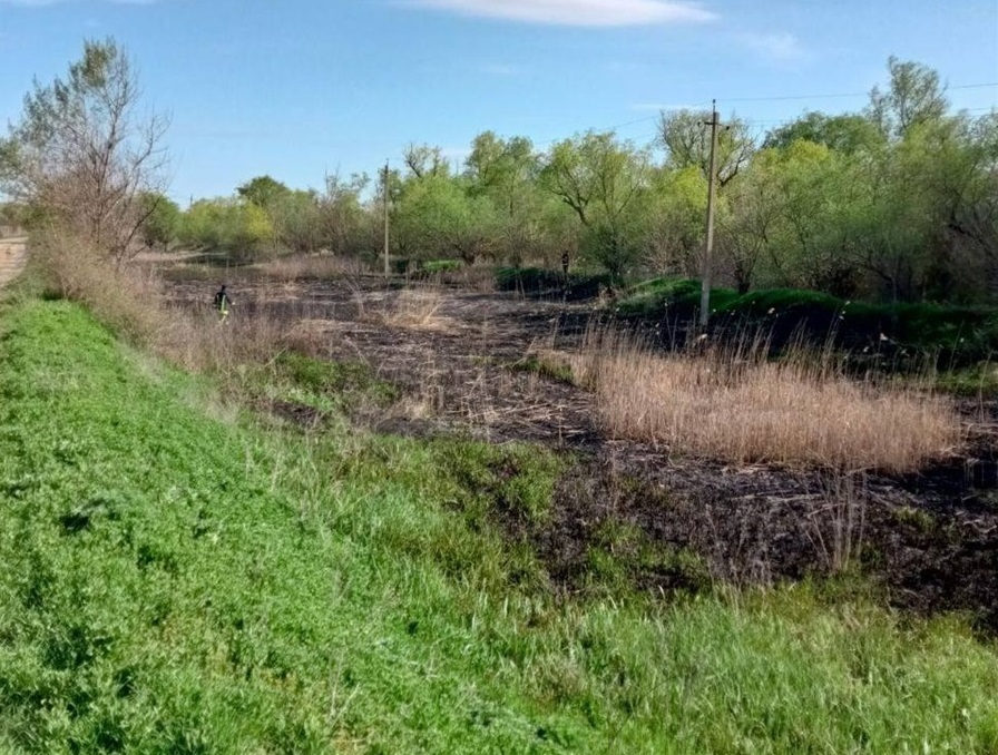 Наслідки загоряння сухої рослинності у Біляївській громаді