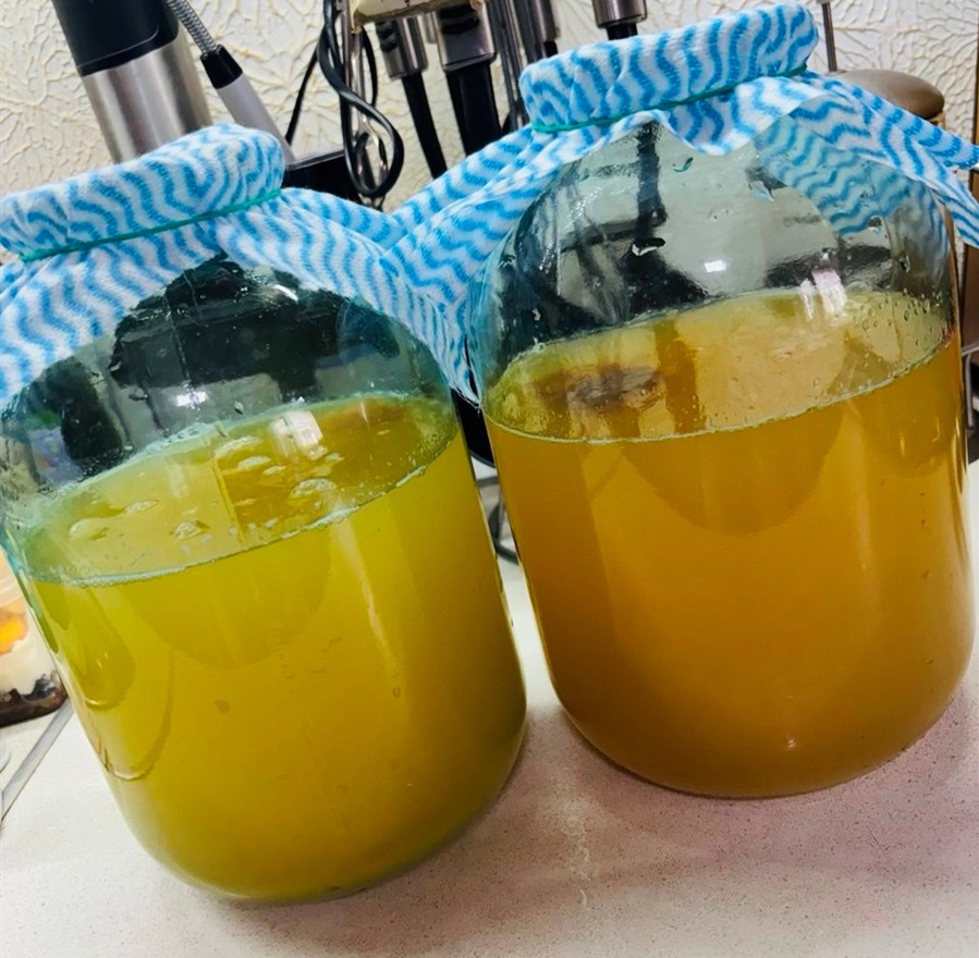 Процес дозрівання яблучного оцту