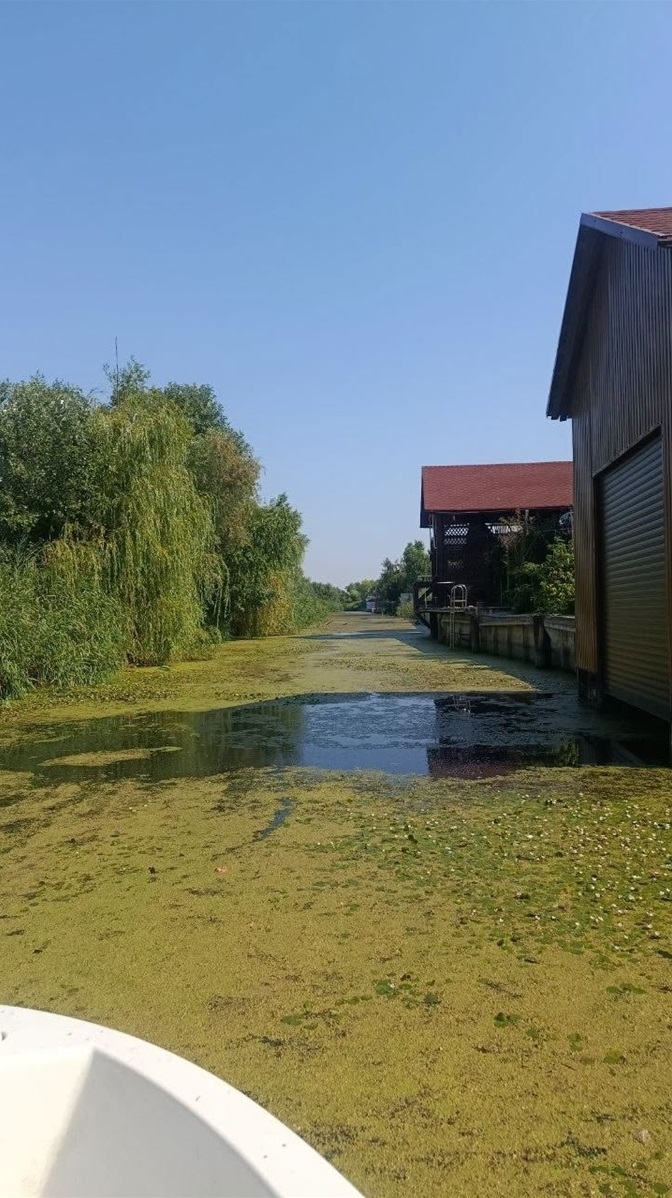 Річка Дністер, які дослуджували фахівці Нижньодністровського НПП