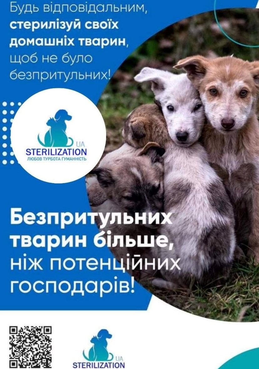 Безкоштовна стерилізація знову повернулася до Біляївки: простерилізували понад 20 тварин