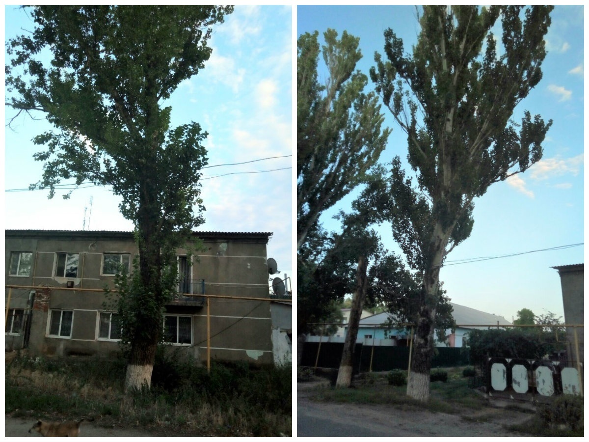 Провулок Матросова