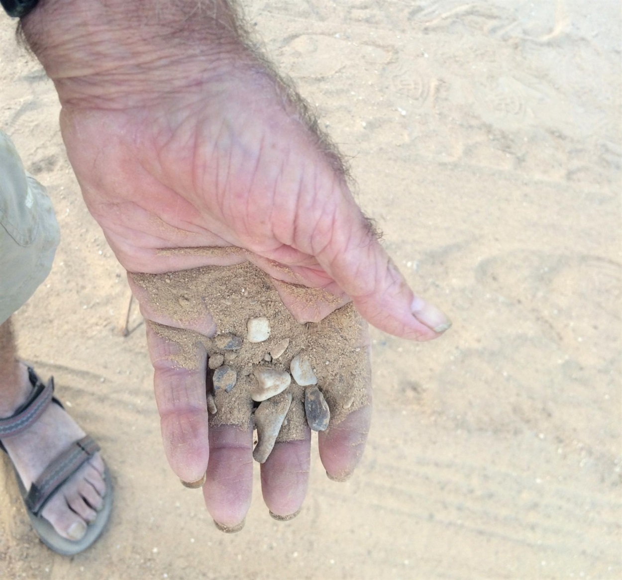 Фото: "Ось що у нас замість чорнозему" - ізраїльський фермер показує, в яких умовах вирощує овочі та фрукти (РБК-Україна)