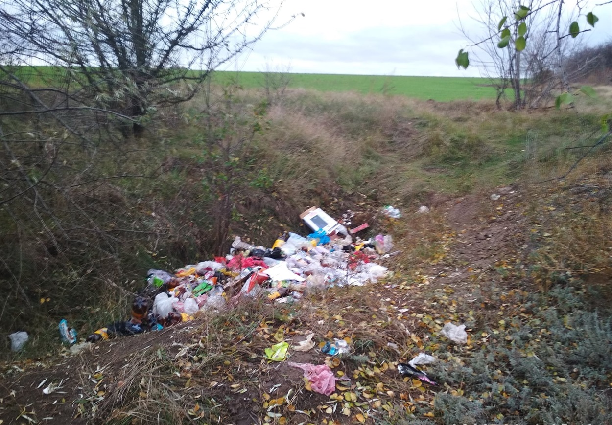 Так поводяться зі сміттям деякі жителі Мирного, і активісти села намагаються з ними боротися