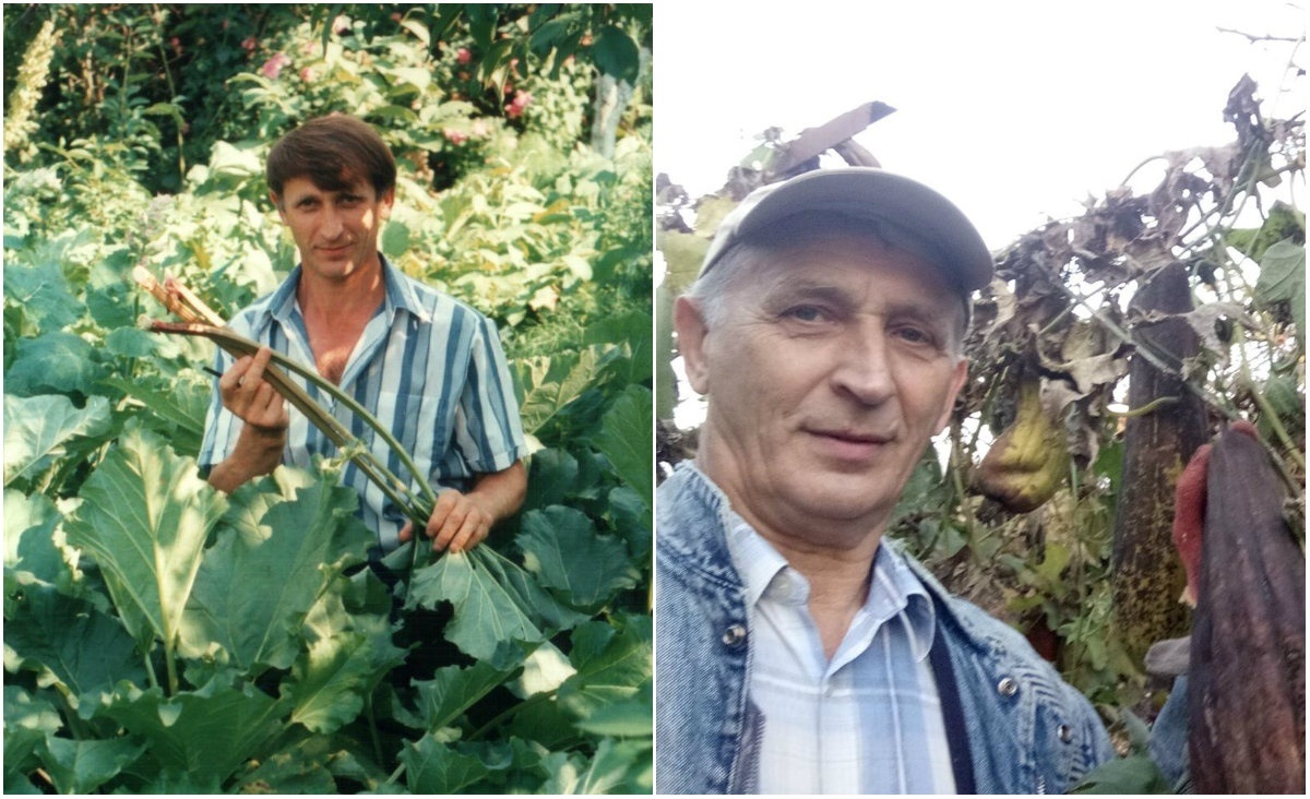 За сорок років садовод не змінив своєї думки про користь ревеня та вирощує інші незвичні рослини