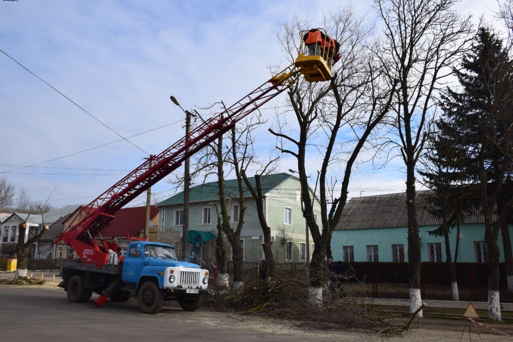 Комунальники дбають, щоб міські дерева були безпечними для перехожих та транспорту 