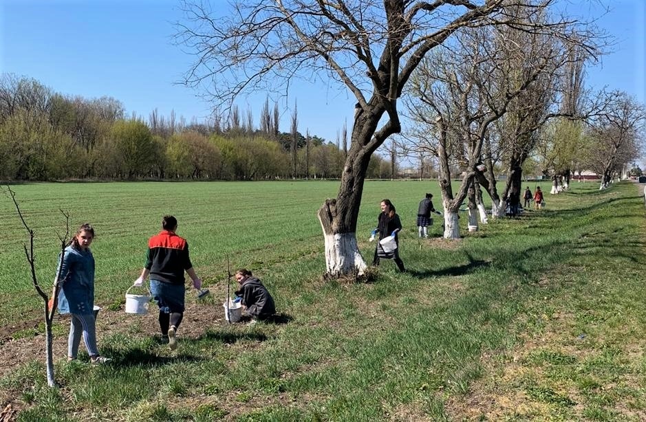 Релігійна громада під час побілки дерев