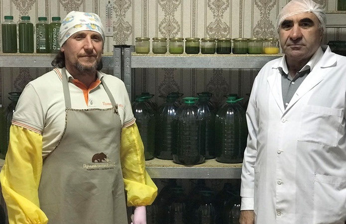 Компанія «Правильний мед» випустила унікальний продукт – зелений мед, в основі якого є крем-мед з квіткового різнотрав’я та суспензія мікроводорості хлорели