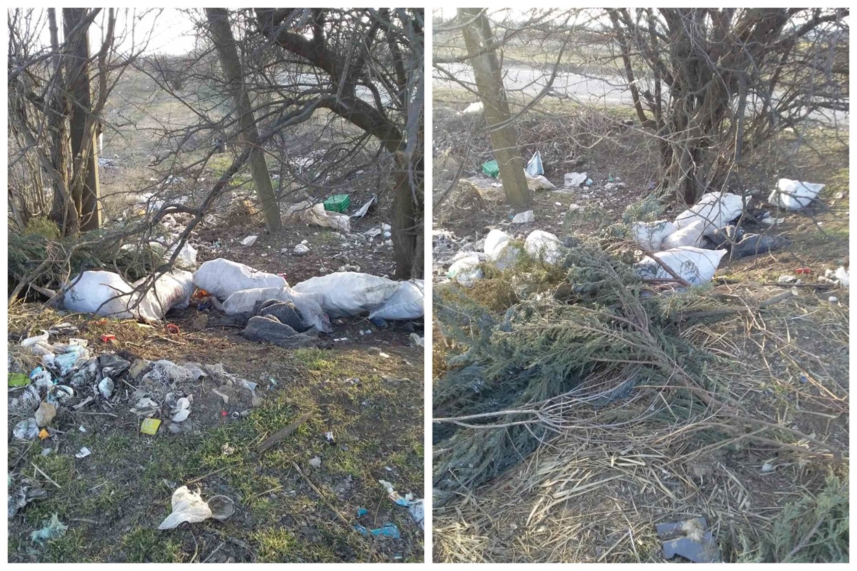 Це сміття комунальники виявили на минулому тижні у посадці 
