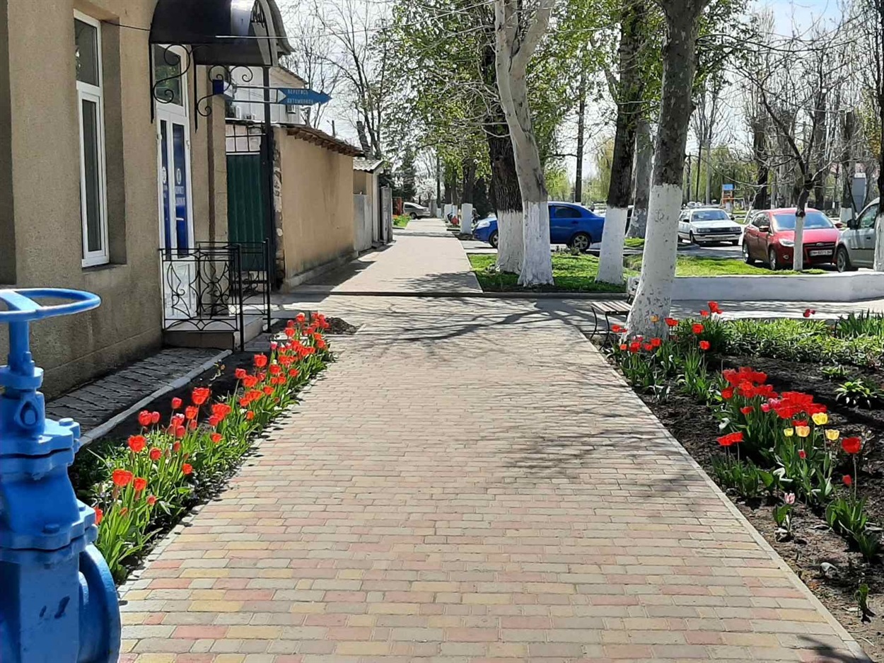 Приємно прогулюватись, коли на вулицях порядок і ростуть квіти