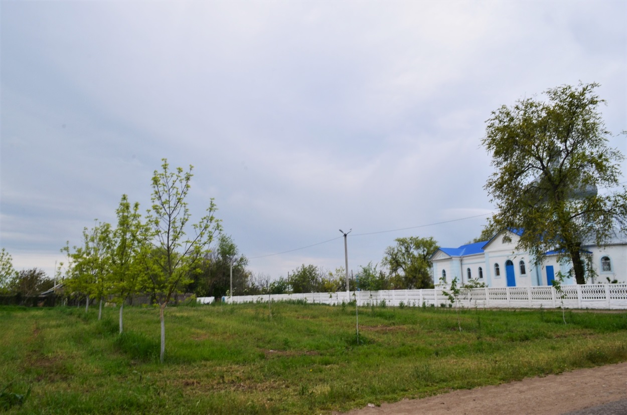 Тут планують облаштувати "Парк молоді": дерева вже кілька років висаджують діти школи 