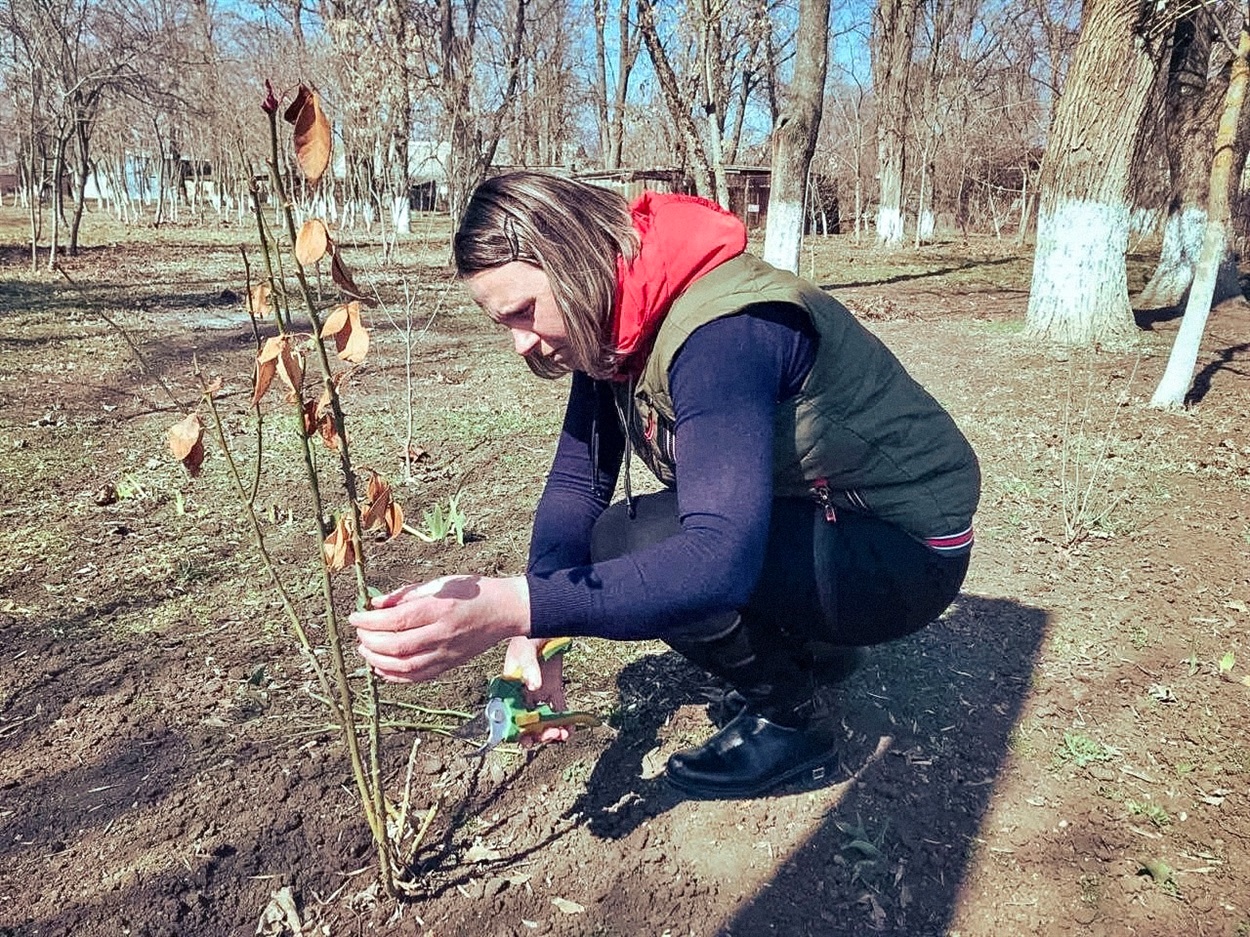 Ірина підрізає троянди на клумбі у центрі селища