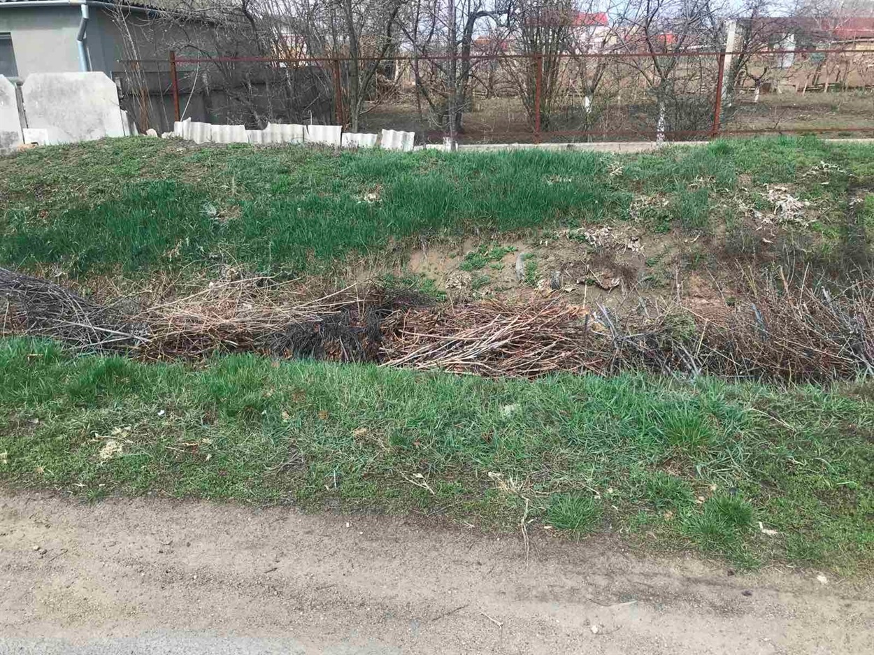 Ось так робити не треба, ніби і прибрали, але сухостій  скинули у дощову канаву