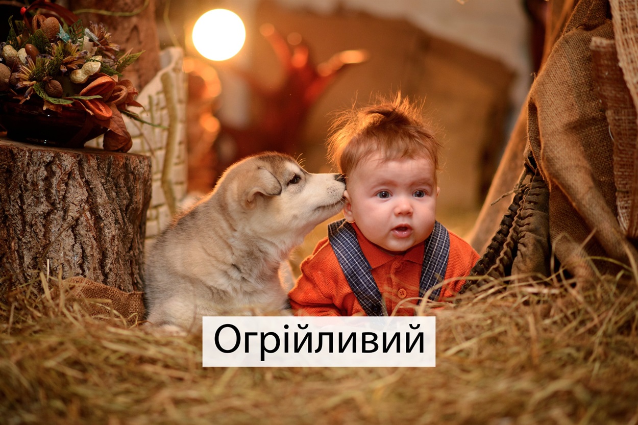 Огрійливою може бути не лише погода, а й дружба з чотирилапим другом