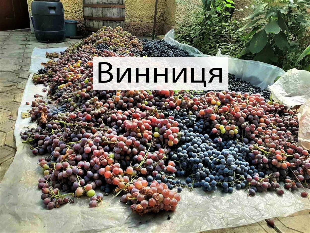 Урожай біляївця Олега Рогачка, 2021 рік
