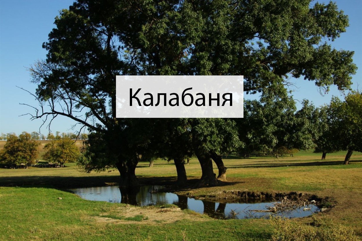 Калабаня або навіть чудо-озерце утворилося біля монастиря у селі Олександрівка Болградського району