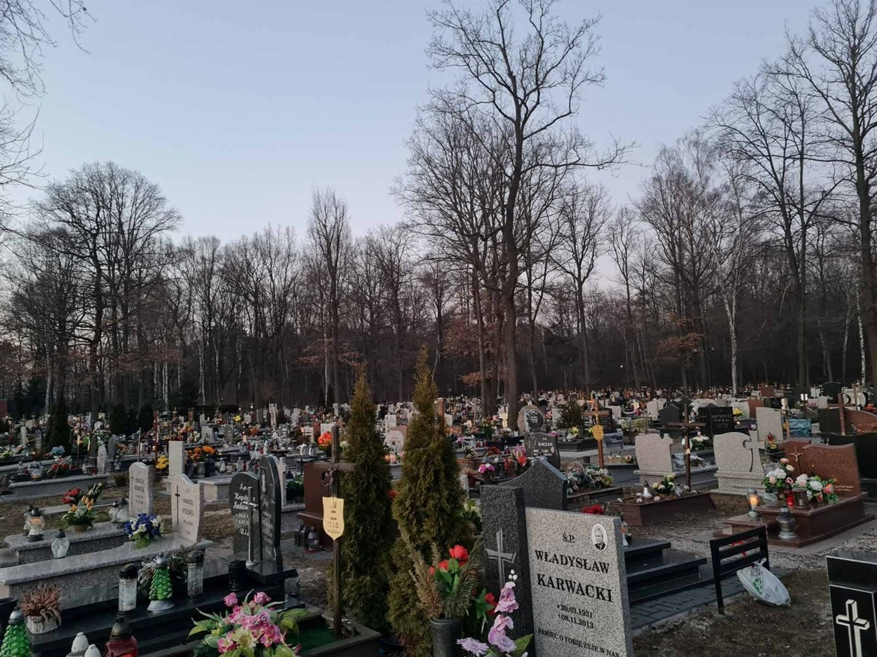 Типове польське кладовище в такому стані протягом року, а не лише перед аналогом наших провід