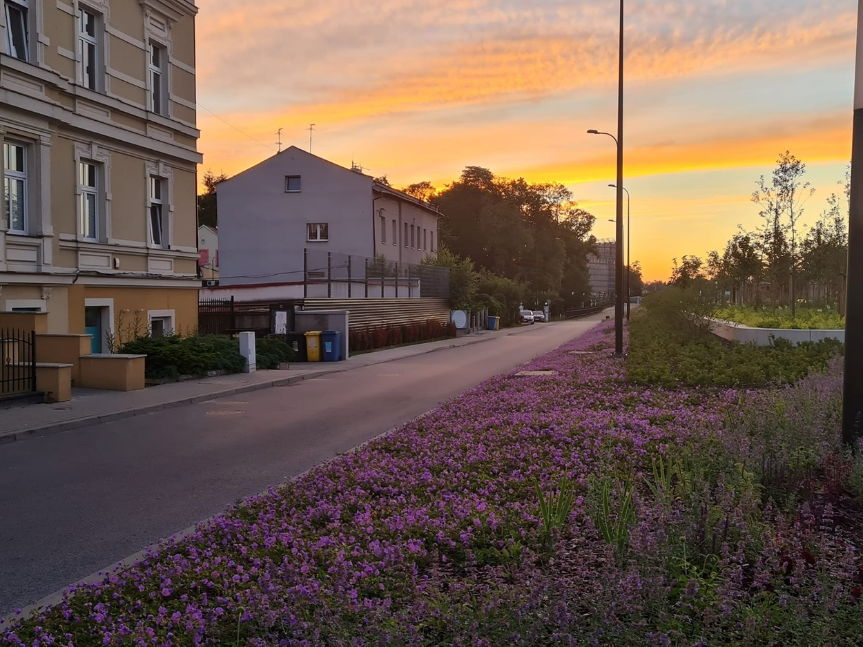 Глівіце - центральна вулиця