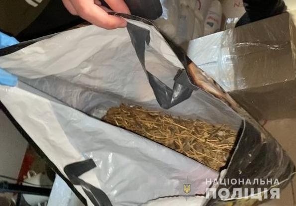під час обшуку