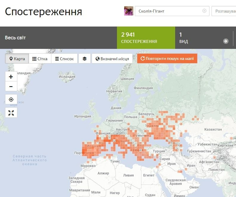Карта поширення Сколії-гігант створена волонтерами