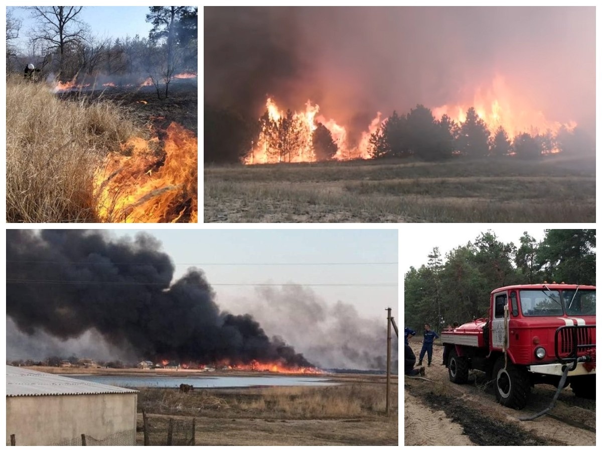 Пожежі в заповіднику