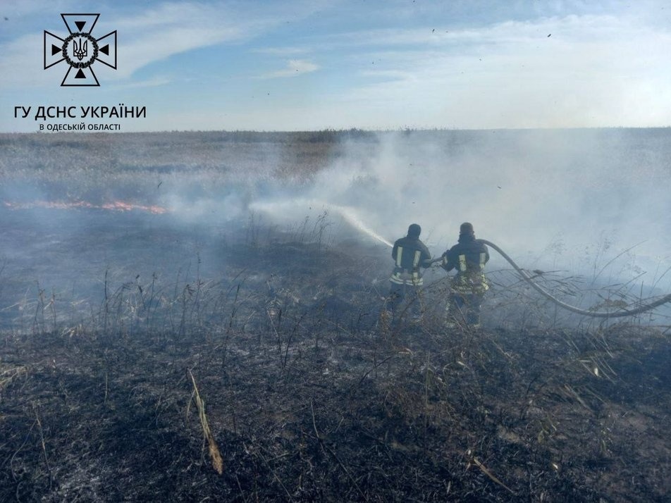 Рятувальники ліквідовують пожежу в заповіднику 