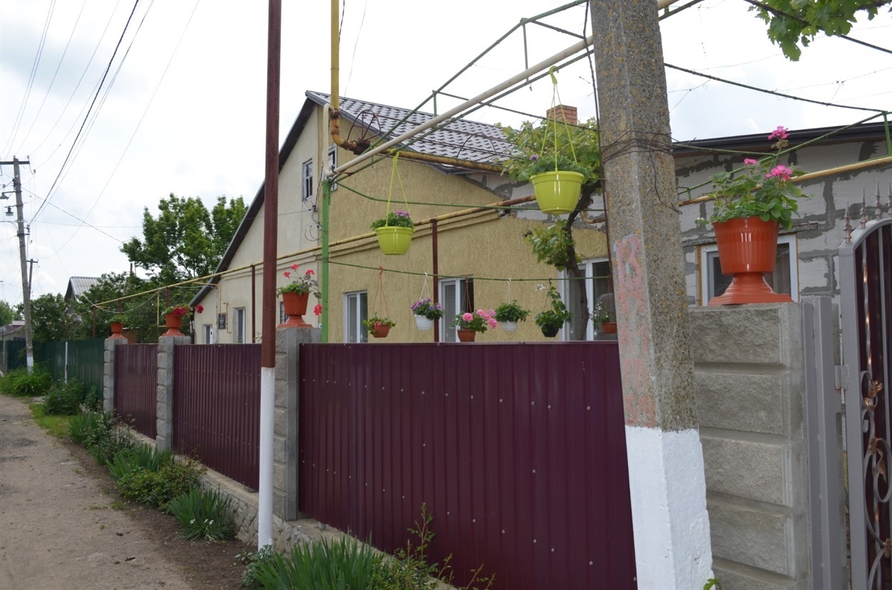 Вазони з пелагонією біля двору Оксани