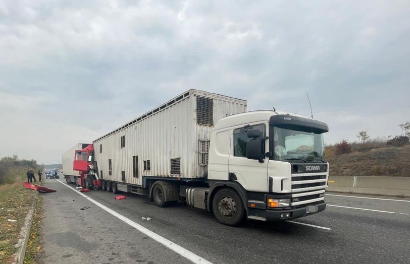 Водій "Renault Magnum" отримав численні травми 