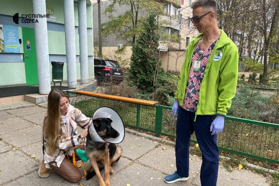 Самостійно виходити на прогулянки пес не може, йому допомагають волонтери
