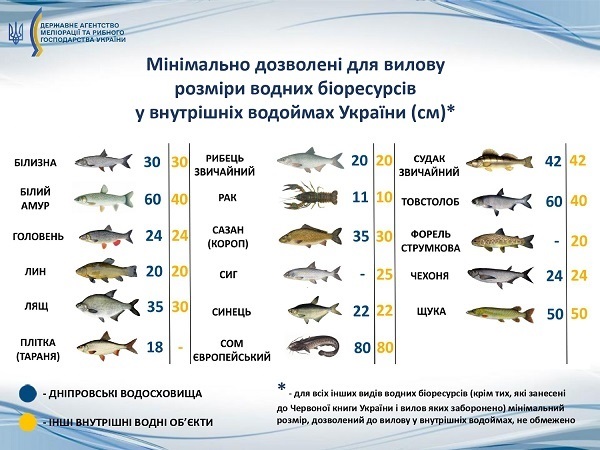 Як змінили мінімально дозволені норми вилову риби 
