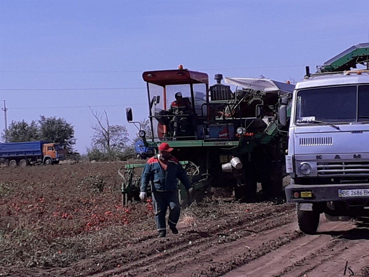 Під час збирання врожаю ПСП "Роднічок"