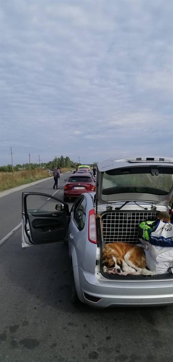 Дорогою до свободи