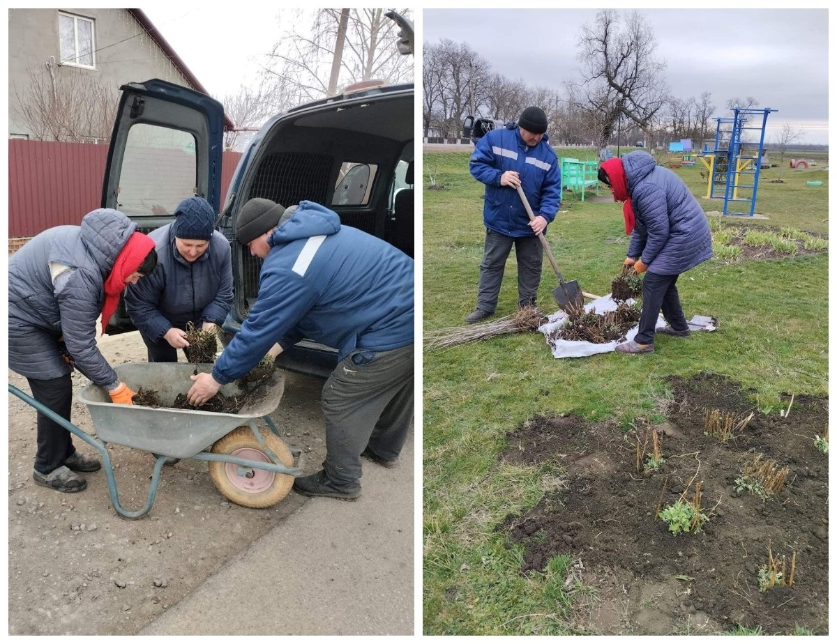 Комунальники вдячні мешканцям за нові саджанці, які стануть ще одною окрасою села 