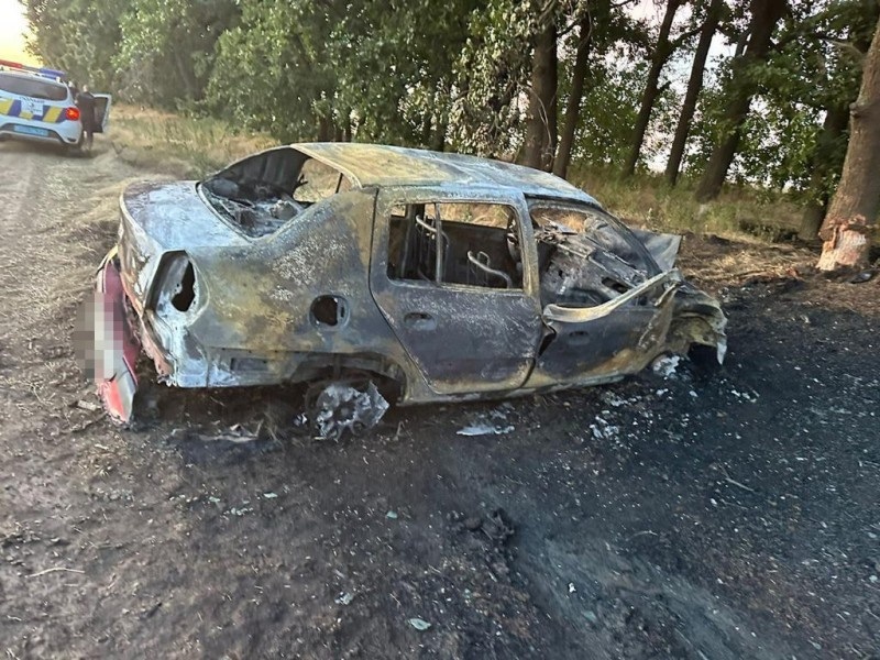 Автомобіль в'їхав у дерево і загорівся