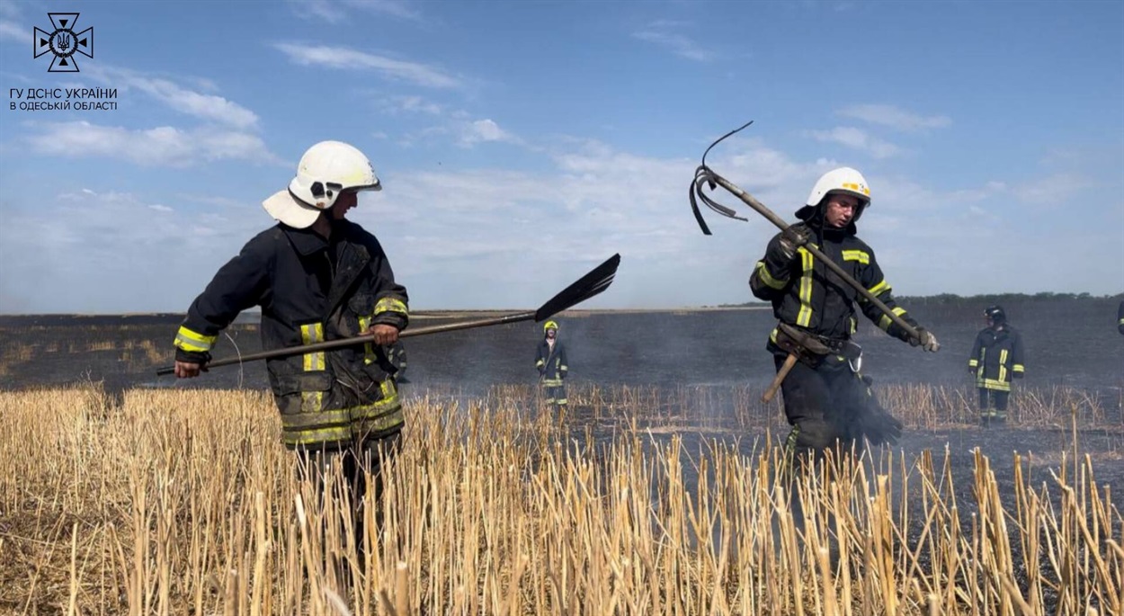 В Одеському районі горіло поле з пшеницею 
