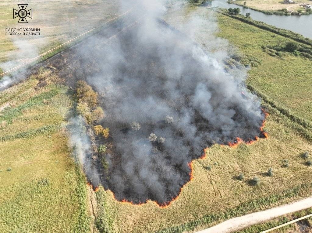 Масштабна пожежа на полях  фільтрації Одеса, 22 серпня