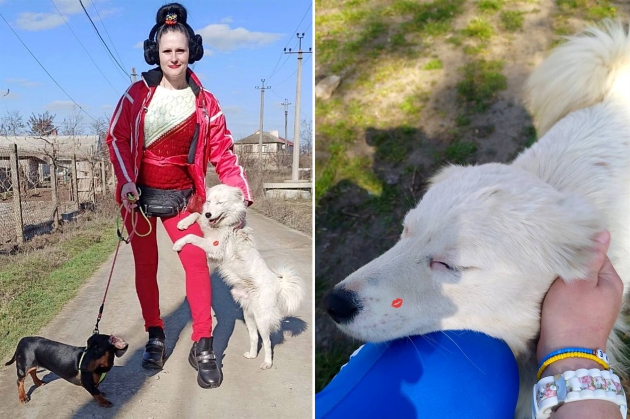 Допомогає безпритульним собакам