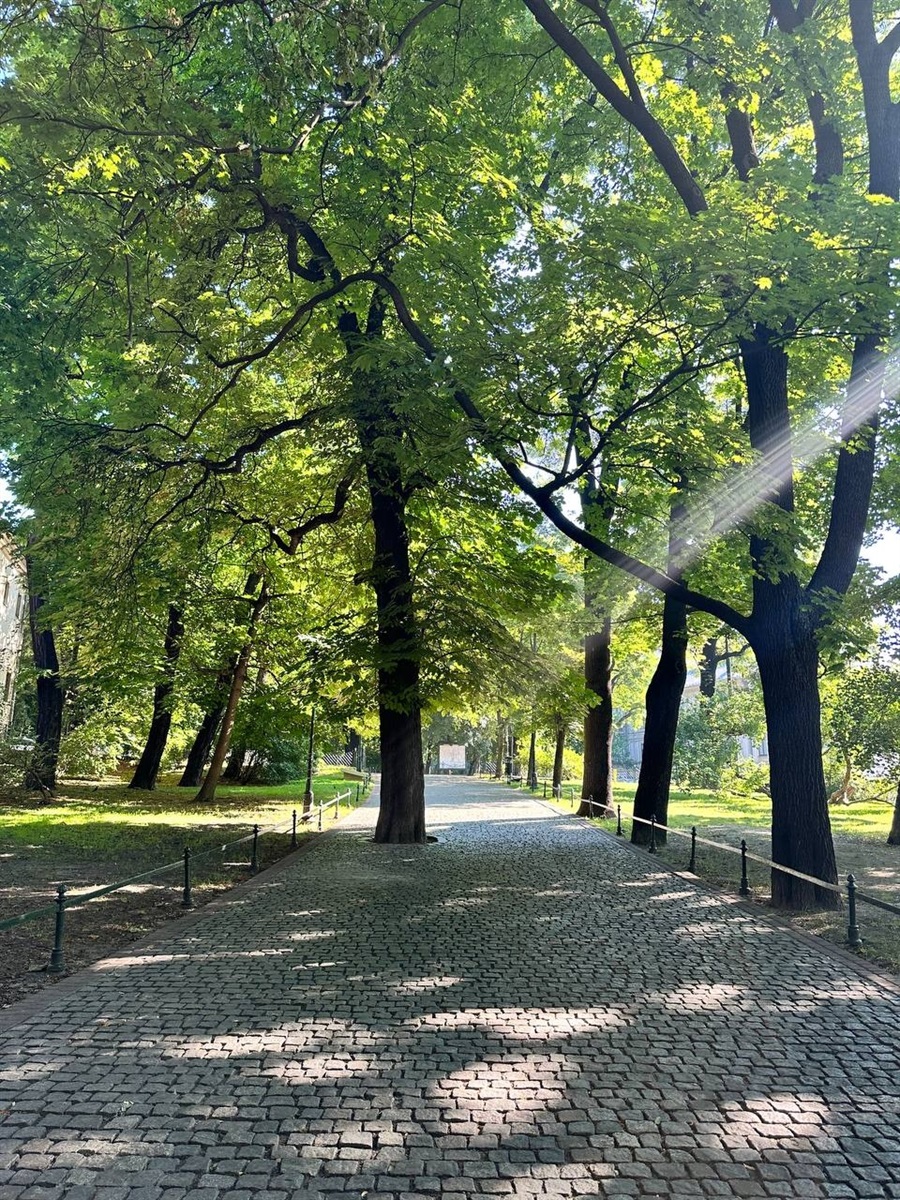 Краків