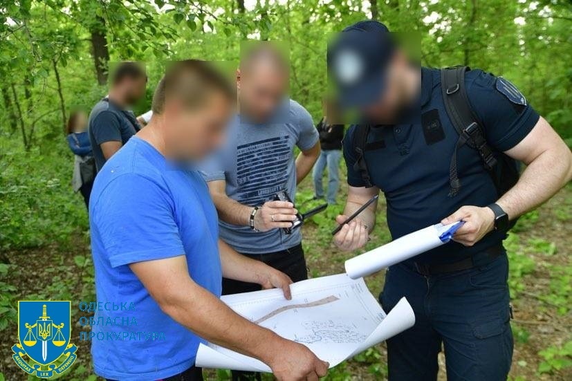 У нацпарку на Одещині зрубали понад 500 дерев, затримали директора лісгоспу