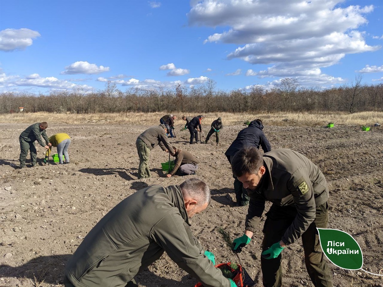 Висадка дерев на півдні України, 2023 