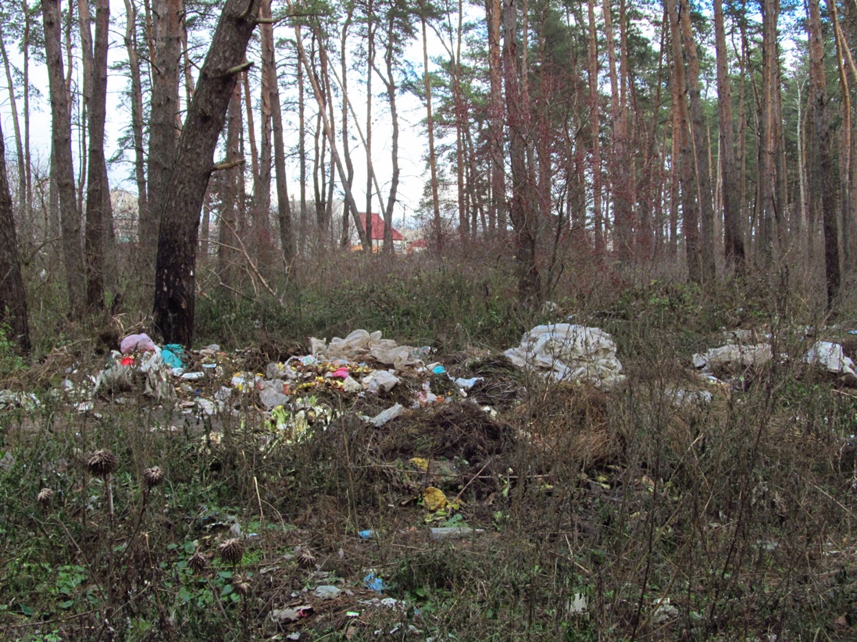 Таким були околиці села - у прекрасному лісі сміття 