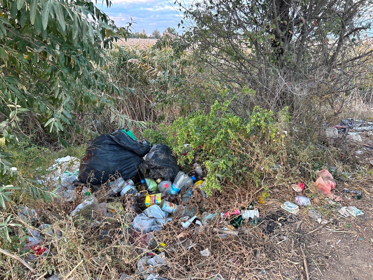 На березі Дністра між Маяками і Біляївкою створюють сміттєзвалище