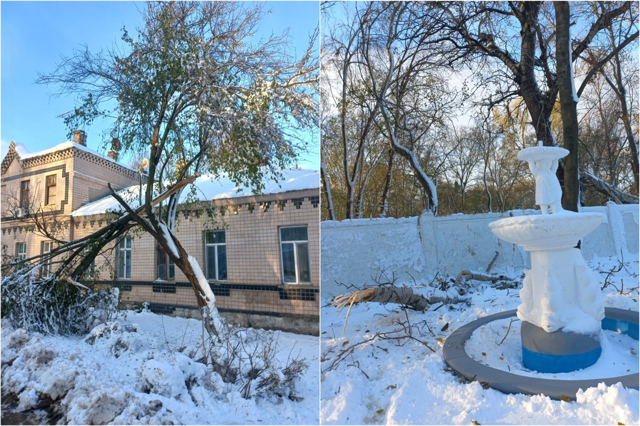 Парк Ялинки Біляївка після негоди листопад 2023, фото