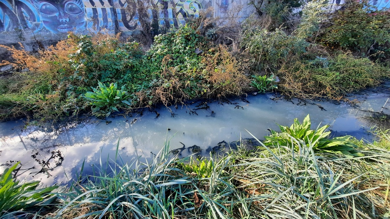 Стічні води потрапляють у Чорне море
