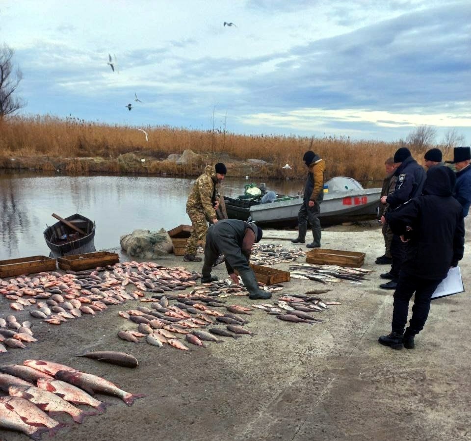 Викрили браконьєрів, Одещина