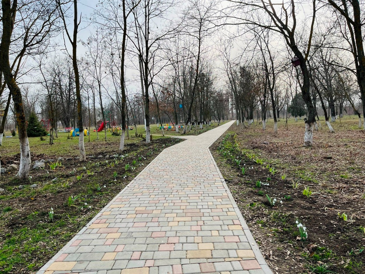 Алея підсніжників, яку почали висаджувати у селищі 