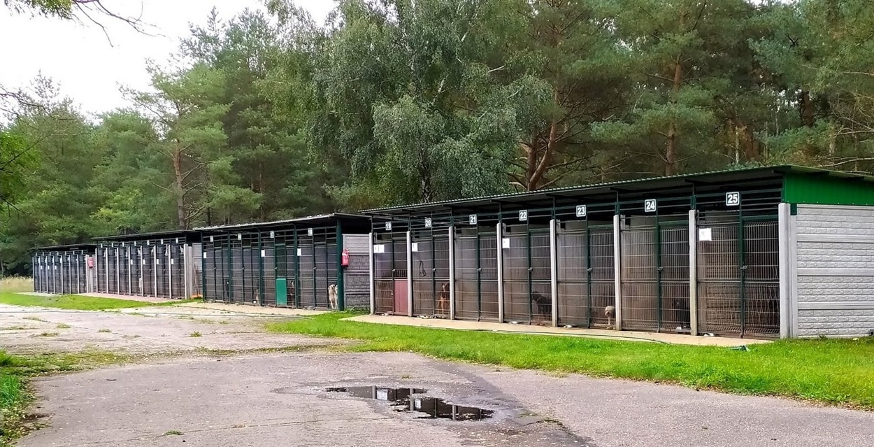 Так виглядає притулок Białogardzkie Schronisko dla Zwierząt SOS w Klępinie 