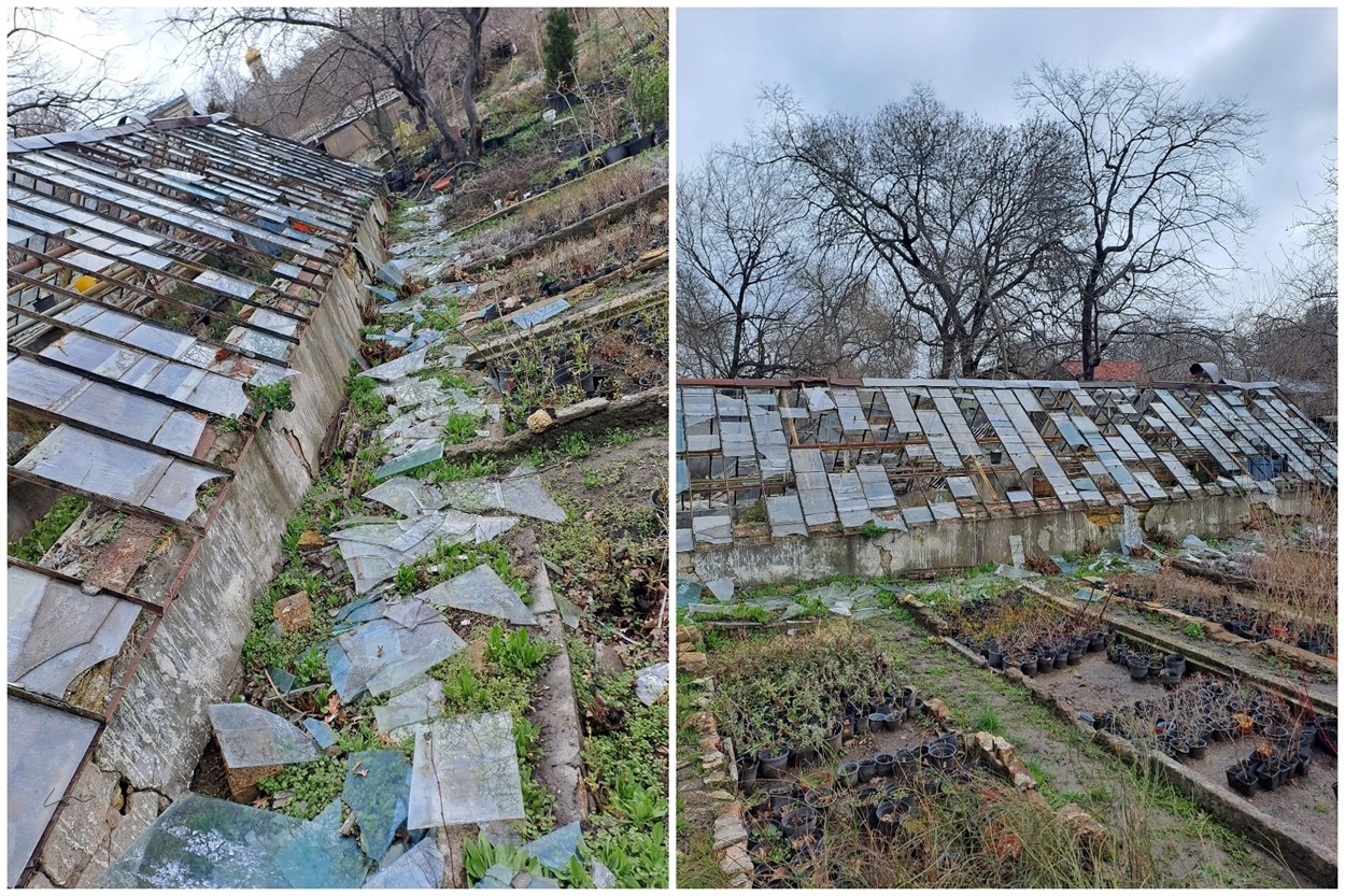 Ботанічний сад Одеса після обстрілу