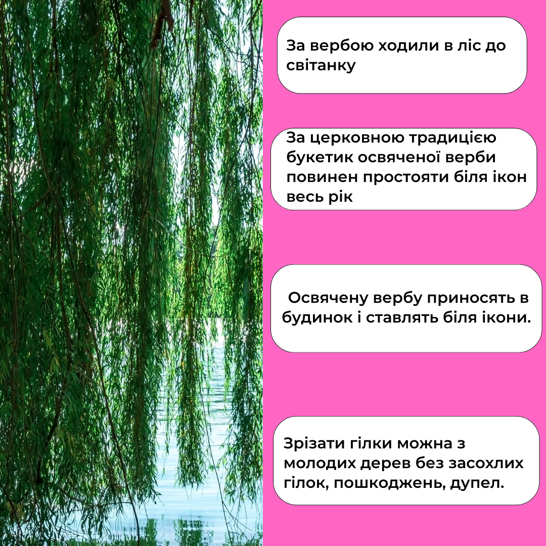 Традиції Вербної неділі